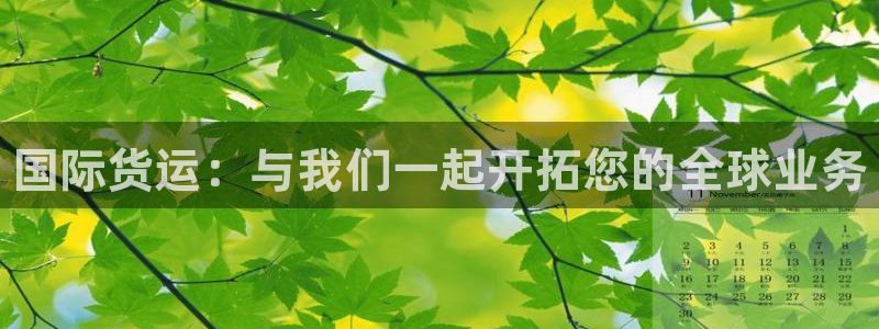 尊龙凯时 人生就是搏!：国际货运：与我们一起开拓您的全球