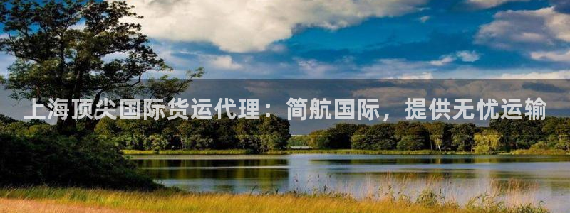 尊龙凯时 人生就是搏客服：上海顶尖国际货运代理：简航国际