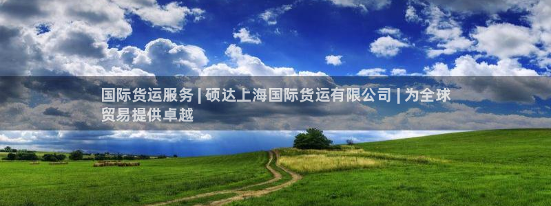 尊龙凯时网站赌愽是真的吗：国际货运服务 | 硕达上海国际
