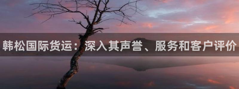 尊龙凯时 - 人生就是搏手机登录：韩松国际货运：深入其声