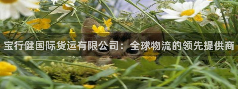 尊龙-人生就是博