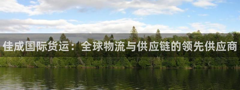 尊龙官网/首选kpm：佳成国际货运：全球物流与供应链的领