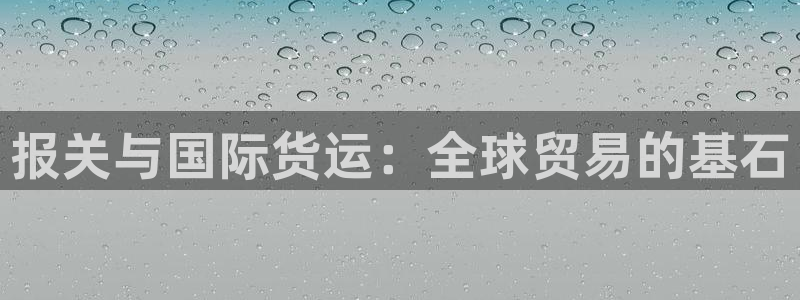尊龙人生就是博菲律宾台子：报关与国际货运：全球贸易的基石