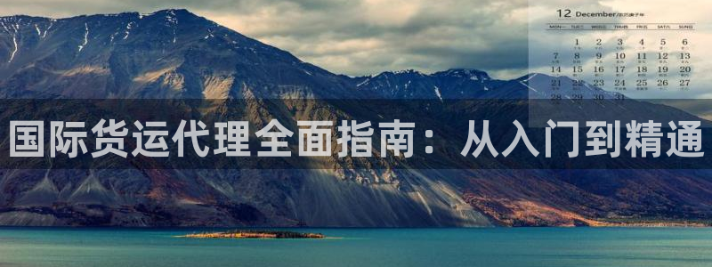 尊龙凯时和九游会哪个平台好一点：国际货运代理全面指南：从